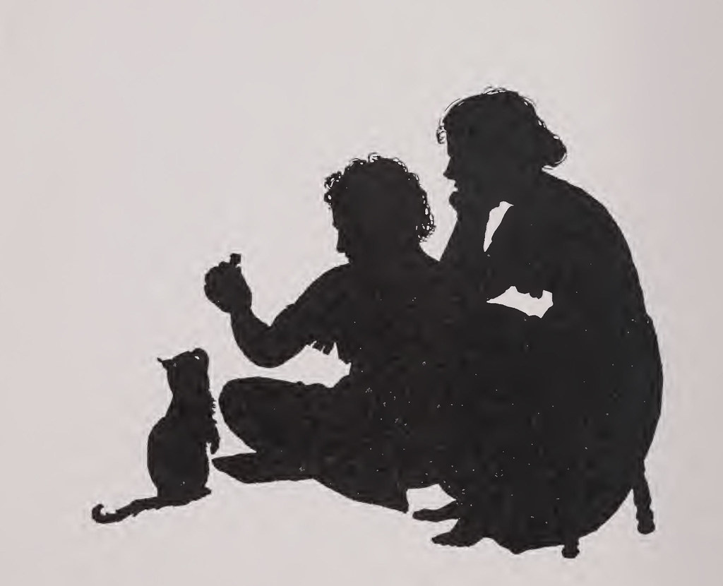 Bull Markets and the Bulls-Eye Laser Dot